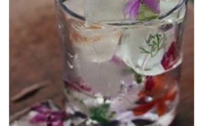 ブログサンプル4